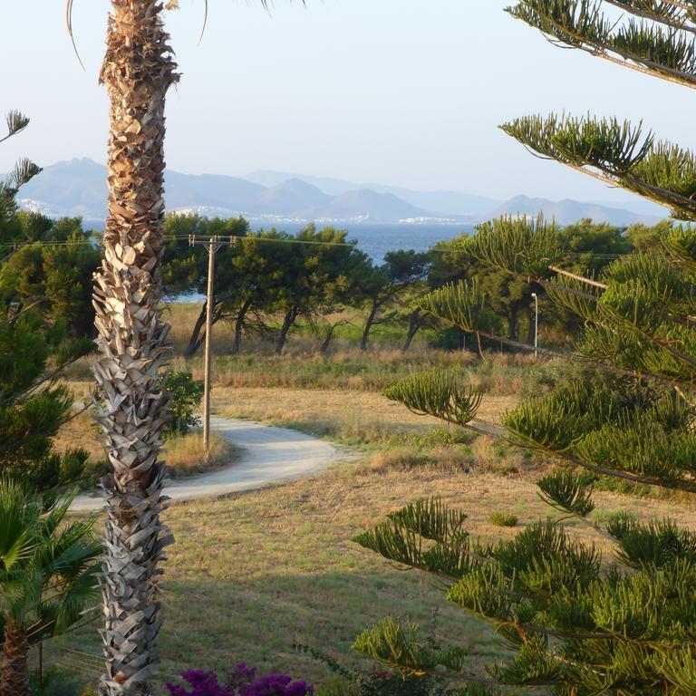 Blue Nest Hotel Tigkaki (Kos) Exterior foto